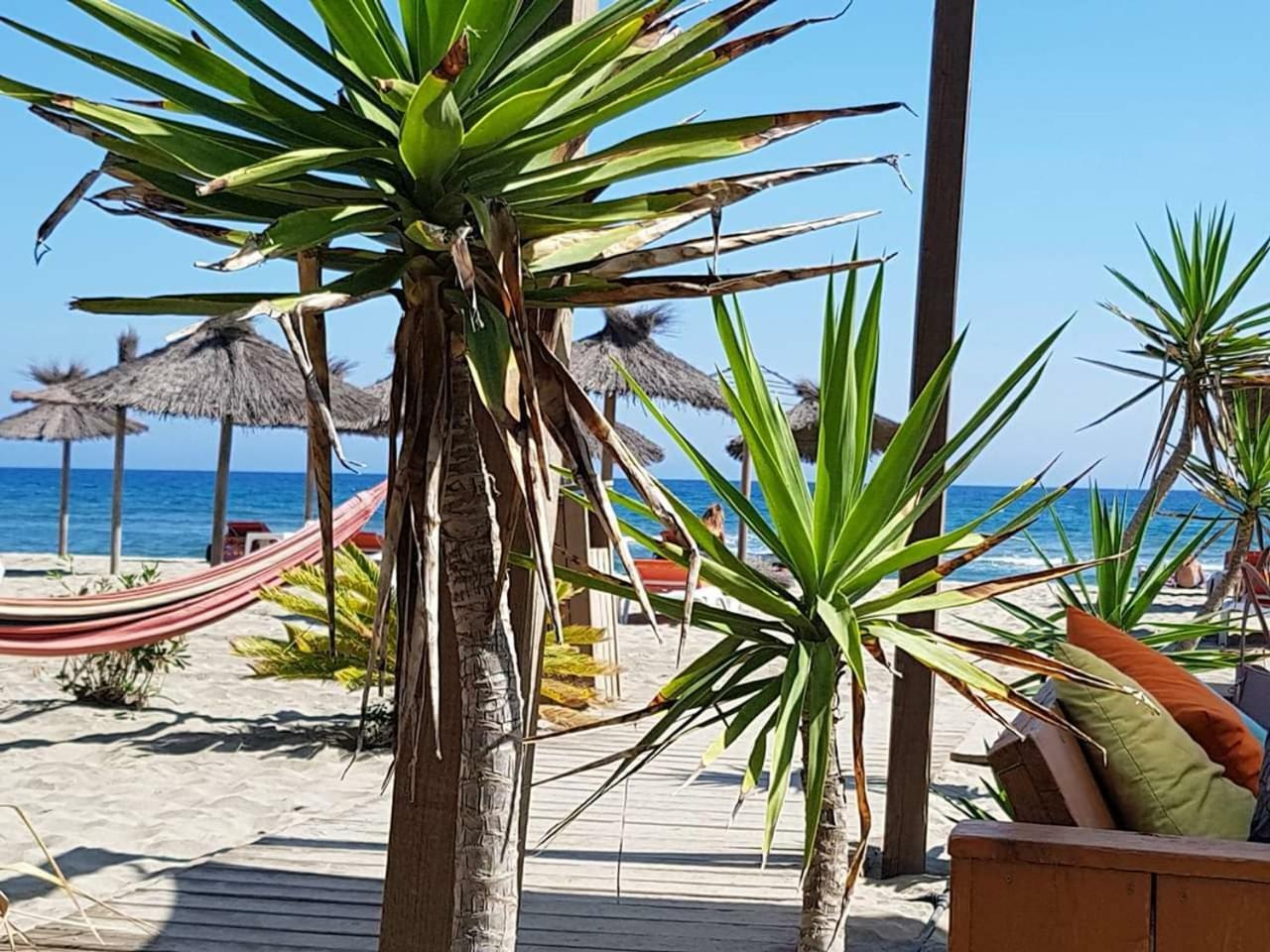 Beau studio à 1 minute de la plage Canet-en-Roussillon Exterior foto